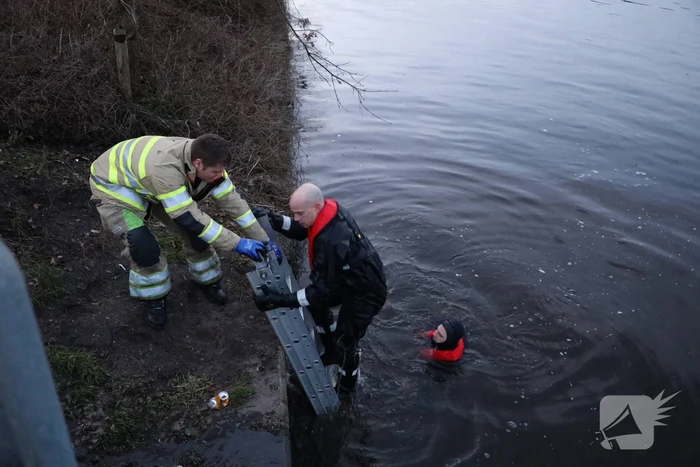 Brandweer redt hond te water