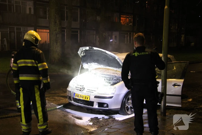 Auto total-loss na brand