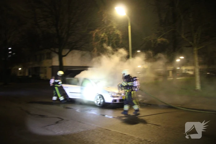 Auto total-loss na brand