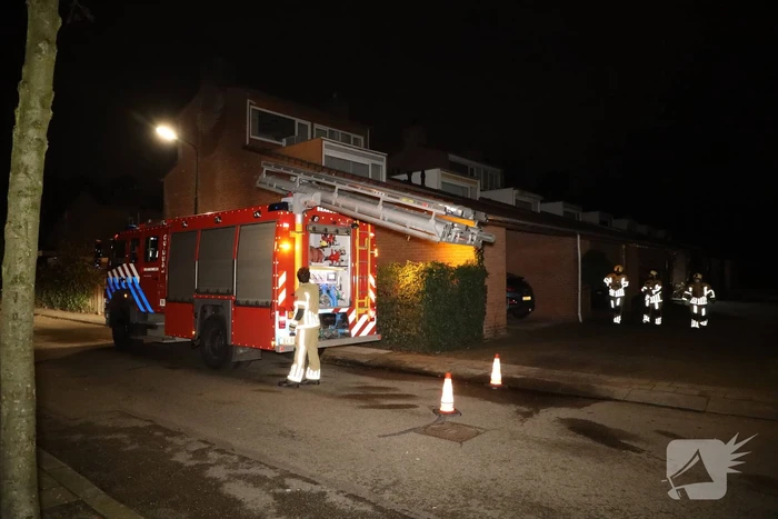 Kat springt uit boom bij reddingspoging