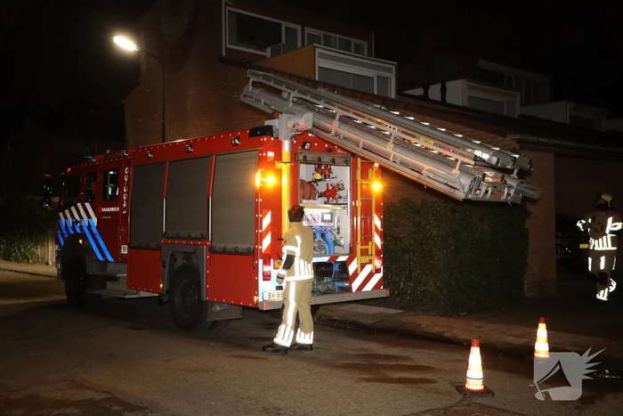 Kat springt uit boom bij reddingspoging