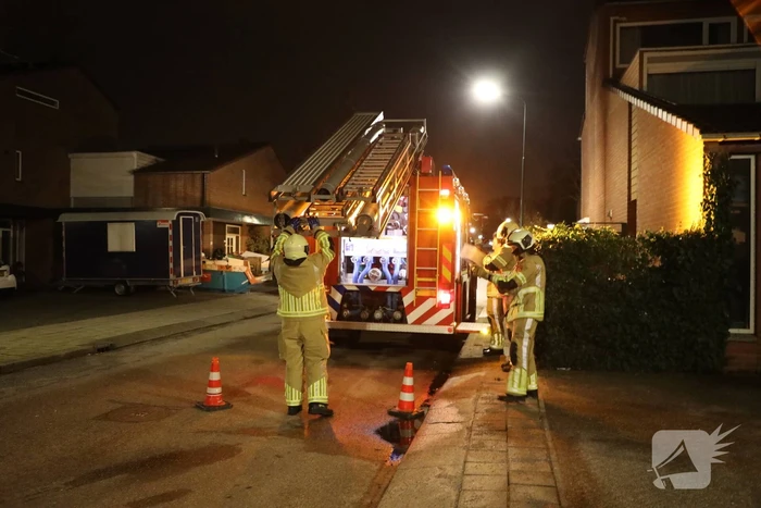 Kat springt uit boom bij reddingspoging