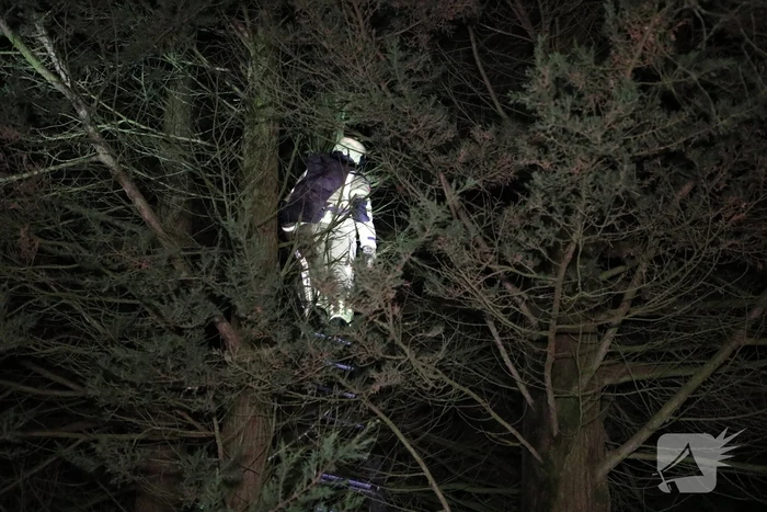 Kat springt uit boom bij reddingspoging