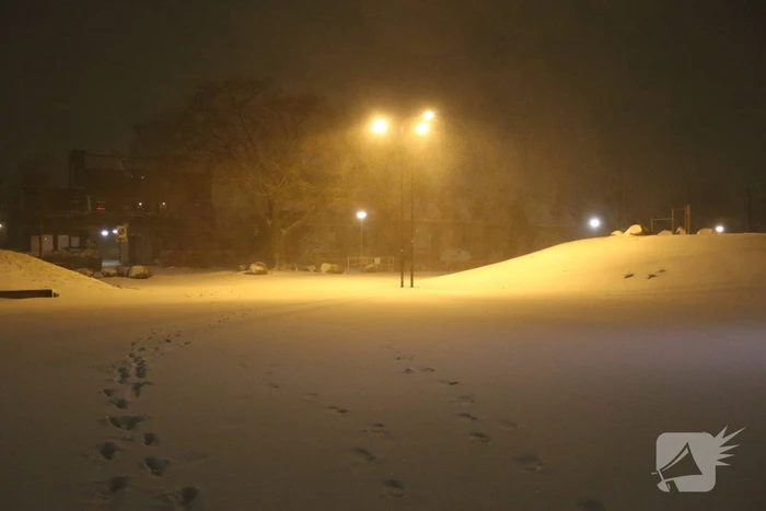Nederland ontwaakt onder deken van sneeuw