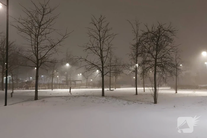 Nederland ontwaakt onder deken van sneeuw