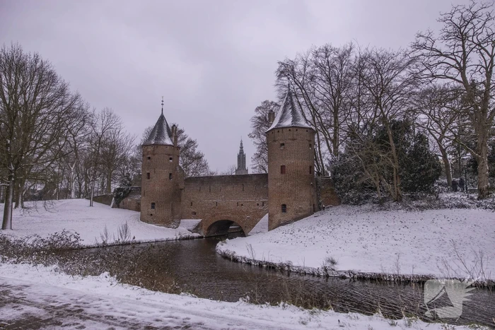 Nederland ontwaakt onder deken van sneeuw