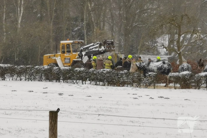 nieuws oude diedenweg wageningen