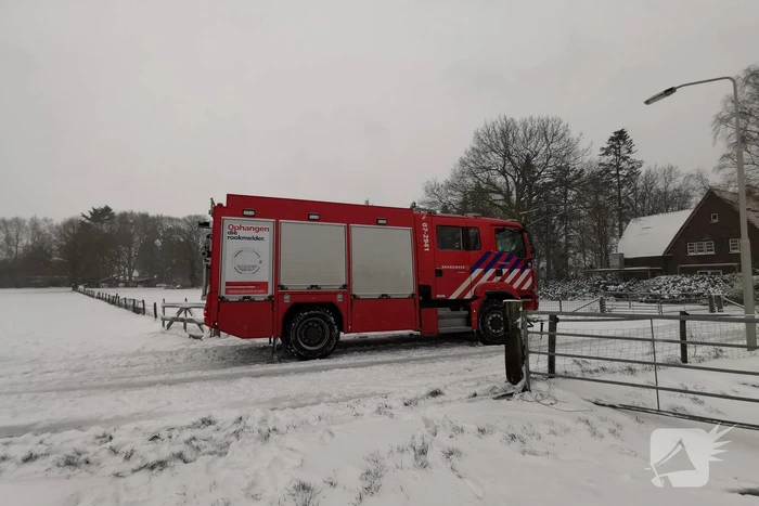 Bulldozer zet paard weer op zijn benen