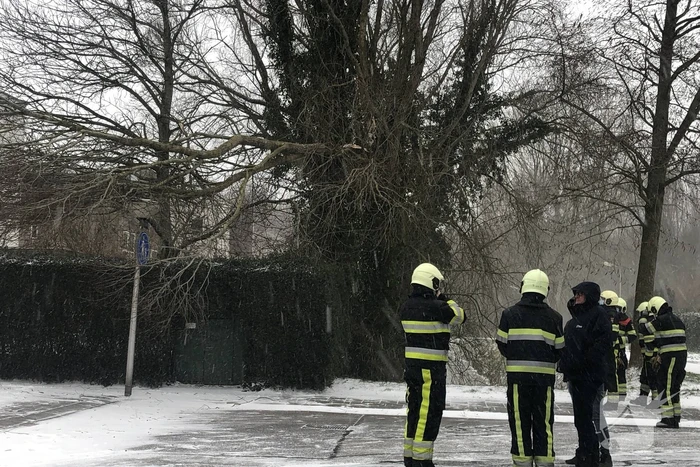 Tak breek af door harde wind