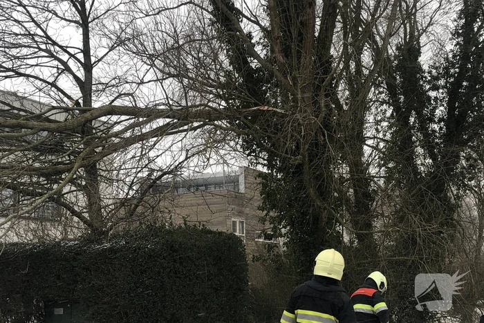 Tak breek af door harde wind