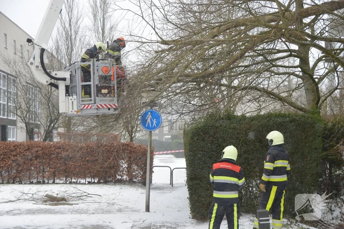 Tak breek af door harde wind