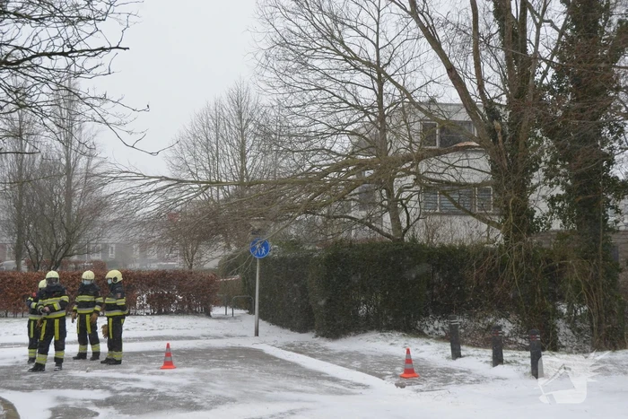 Tak breek af door harde wind