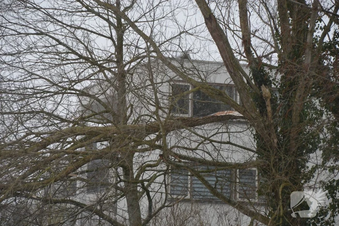 Tak breek af door harde wind