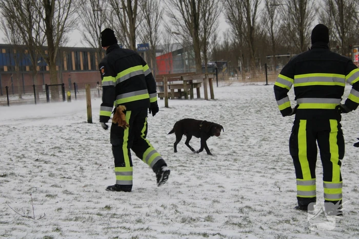 Hond door ijs gezakt