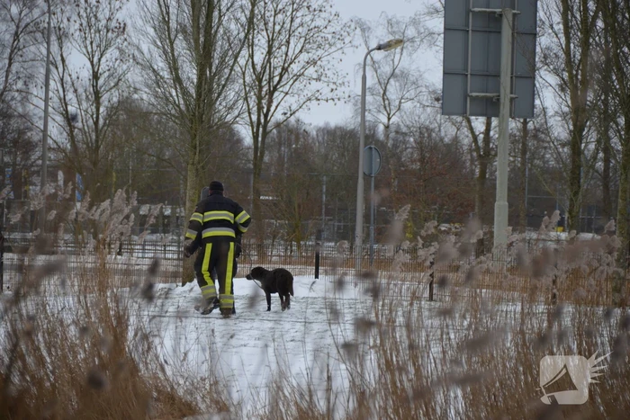 Hond door ijs gezakt