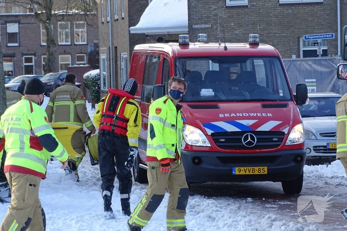 Zwaan vast op ijs