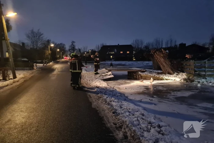 Buurtbewoner belt brandweer voor vermoedelijk vastzittende gans