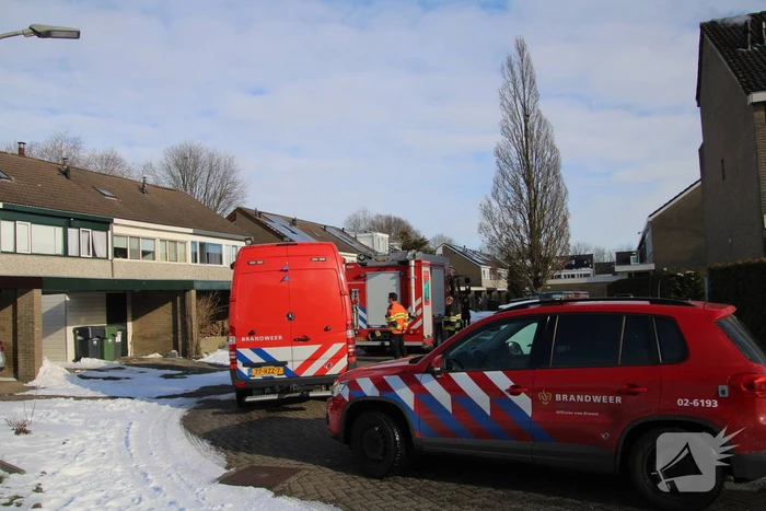 nieuws reinder brolsmawei leeuwarden