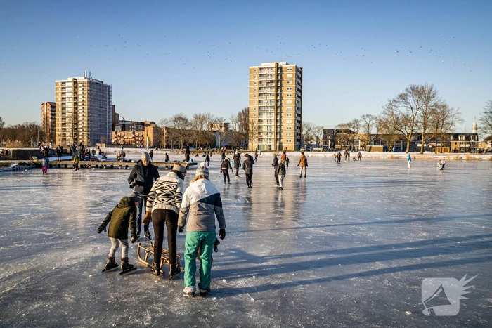 natuur zwanebloembocht haarlem