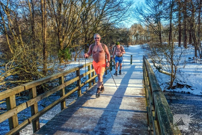 natuur dennenlaan castricum