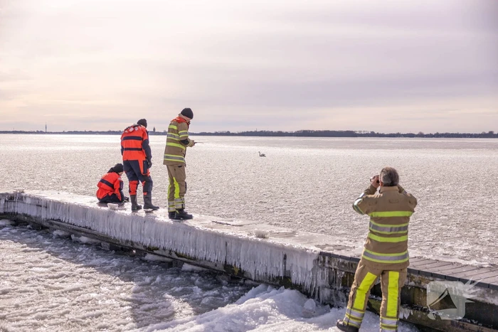 Twee vastzittende zwanen met drone bevrijdt