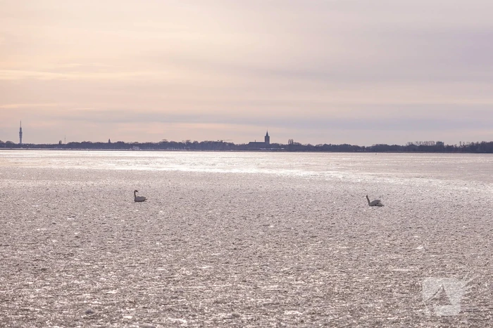 Twee vastzittende zwanen met drone bevrijdt
