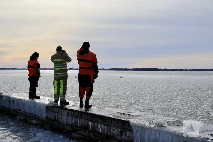 Twee vastzittende zwanen met drone bevrijdt