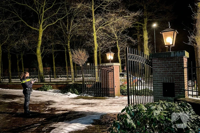 Kat door brandweer uit de boom gehaald