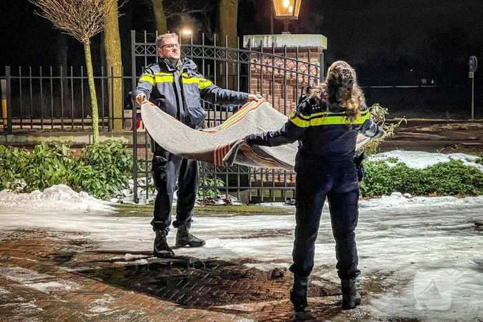 Kat door brandweer uit de boom gehaald