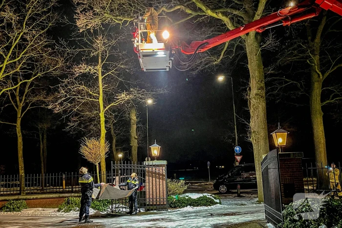 nieuws jezuïetenlaan gemert