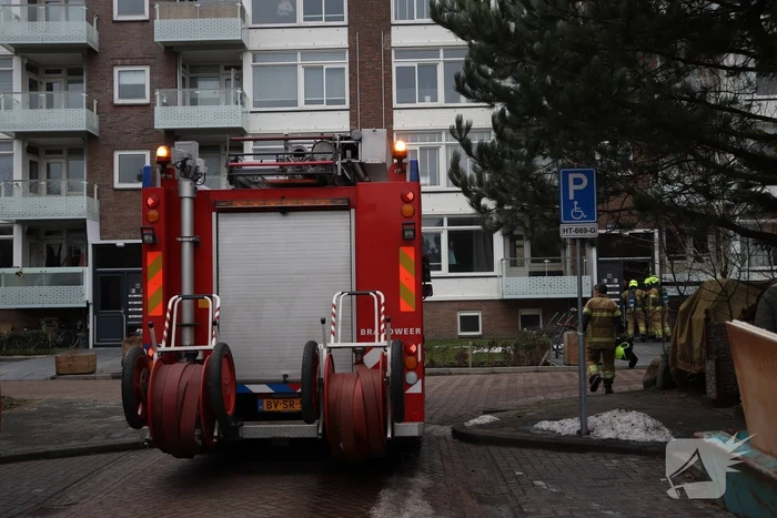 milieu rijnstraat den helder