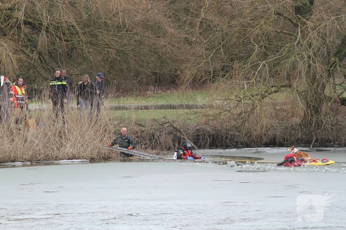 Jongen springt hond achterna en zakt door ijs