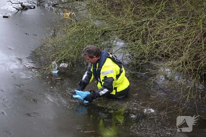 Dode reiger door brandweer uit het Rehorstpark gehaald