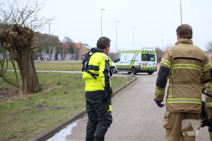 Dode reiger door brandweer uit het Rehorstpark gehaald
