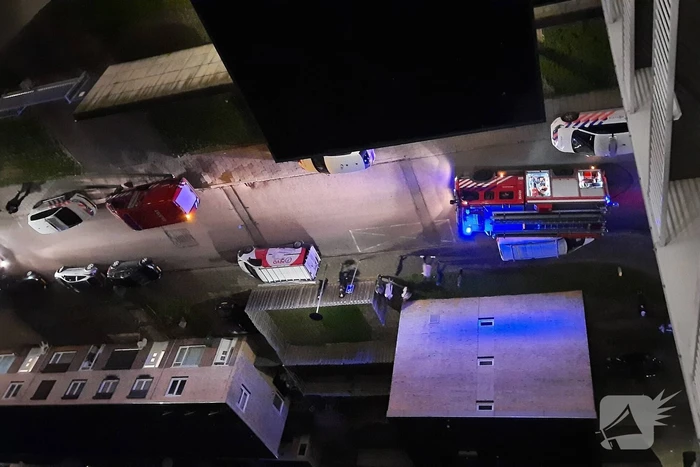 Brand in flatwoning