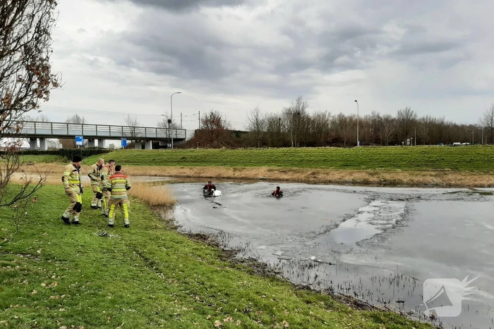 Brandweer en dierenambulance helpen zwaan uit ijs