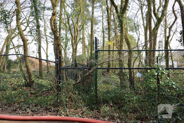 Woning Tom Coronel ontruimd door brand bij buren