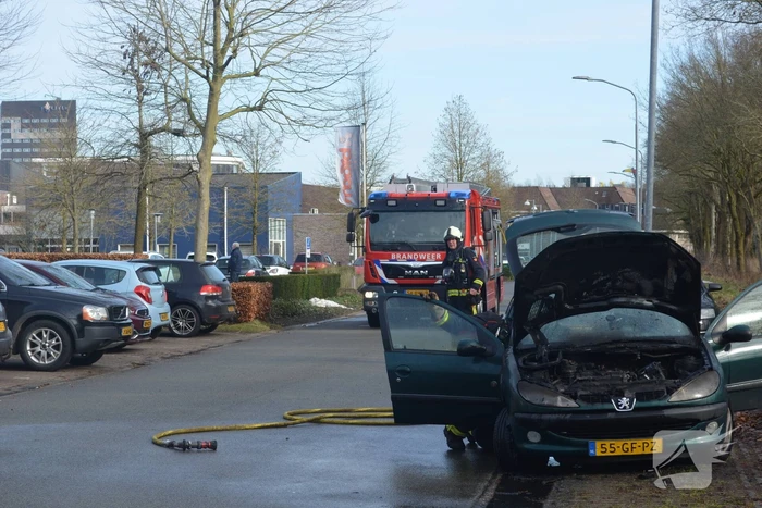 Auto door brand verwoest