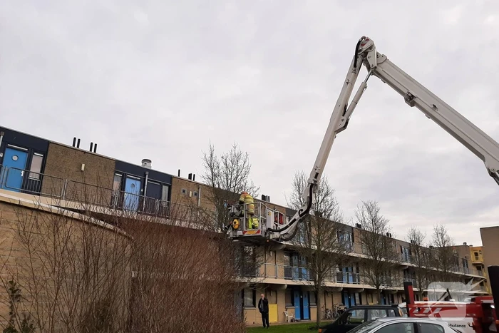 Brandweer haalt vastgelopen kat uit boom