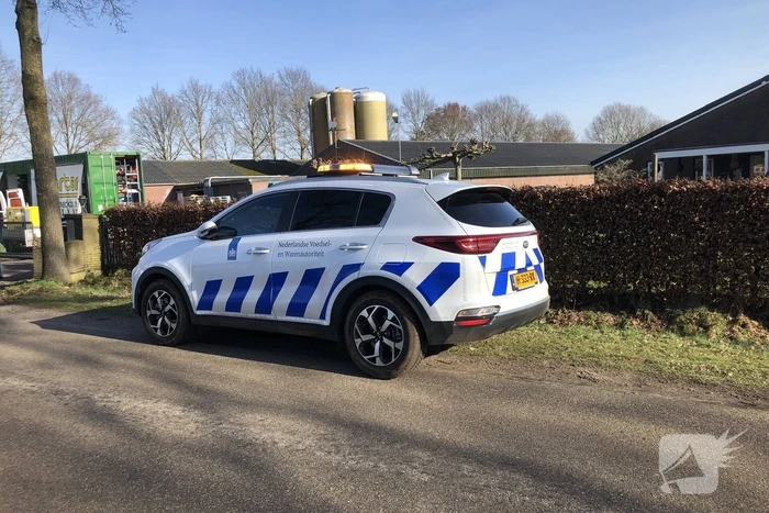 Gevaarlijke vogelgriep gevonden, 130 duizend kippen afgemaakt