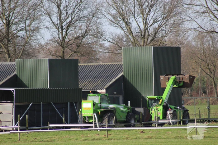 Gevaarlijke vogelgriep gevonden, 130 duizend kippen afgemaakt