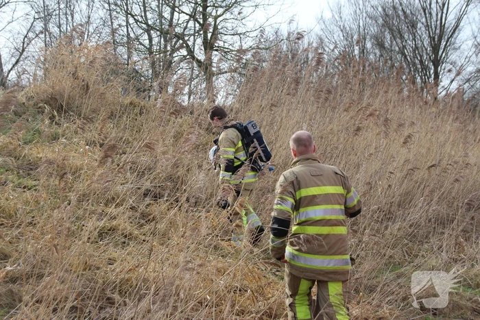 Brandweer blust kleine brand in bosschage