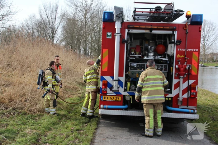 Brandweer blust kleine brand in bosschage