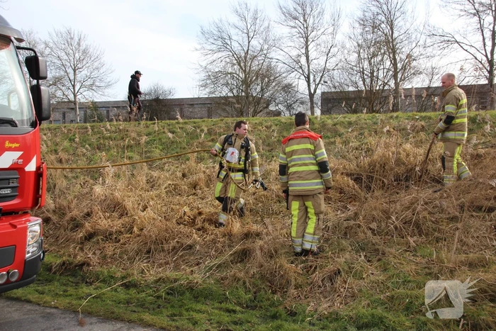 Brandweer blust kleine brand in bosschage
