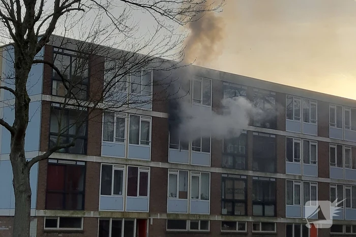 brand schoonveld rotterdam