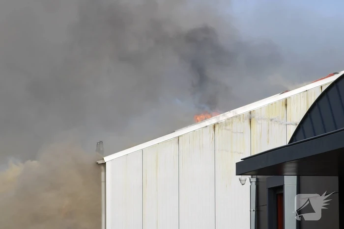 Enorme rookwolken bij grote brand