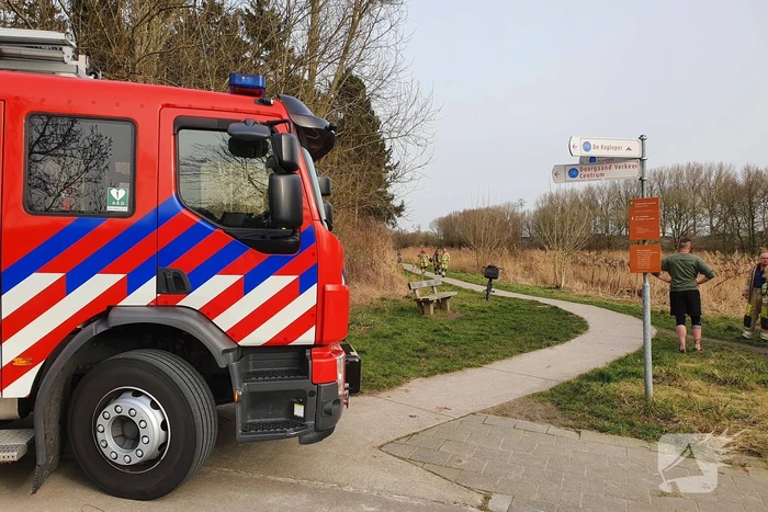 Brand in rietkraag wandelgebied