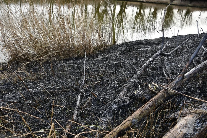 Brand in rietkraag wandelgebied
