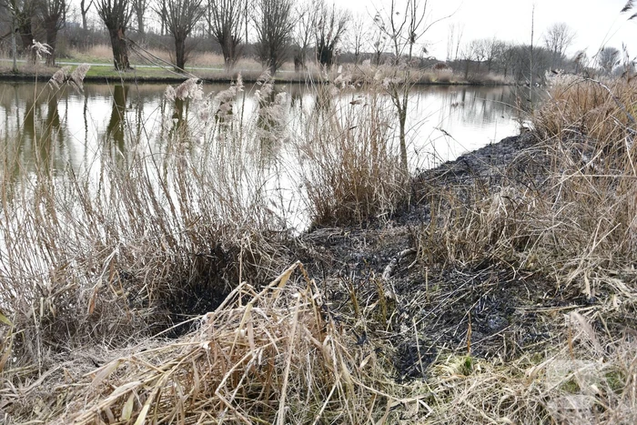 Brand in rietkraag wandelgebied