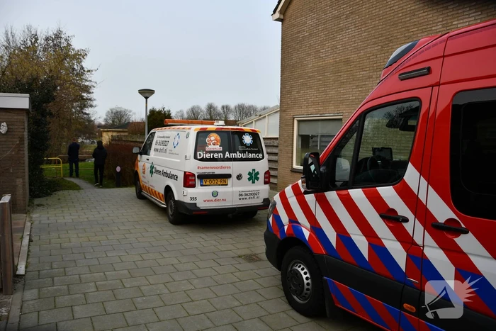 Meerkoet door brandweer gered